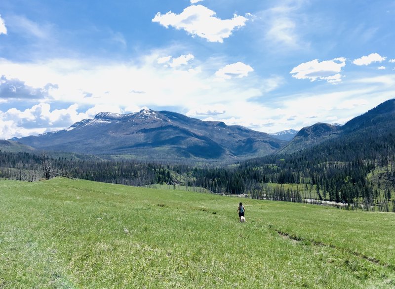 Open views into the South Fork Sun River country. May 2018.