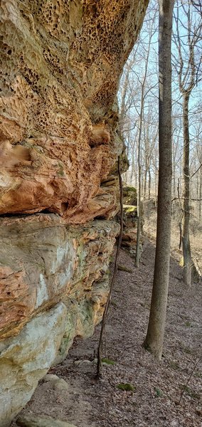 Exposed rock ledge