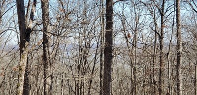Glimpse of the Ohio River