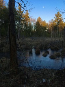 So close to civilization but feels remote.