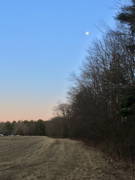 Trail is unmarked but follows the edge of large field.