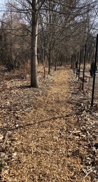 Mulch applied by partners and members of the West River Watershed Coalition on March 7, 2020