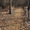 Mulch applied by partners and members of the West River Watershed Coalition on March 7, 2020