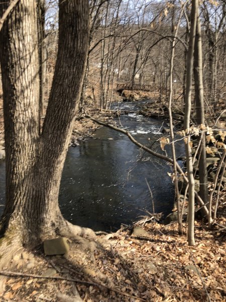 West River from the West River Greenway Trail