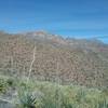 View of  Franklin Mountains from the trail