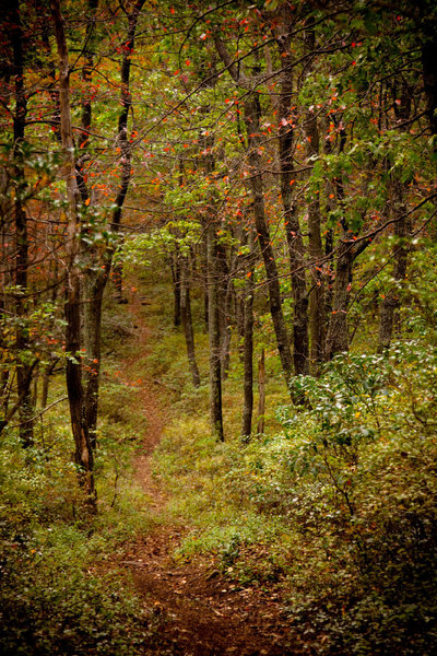 Beautiful Trail comes by its name honestly.