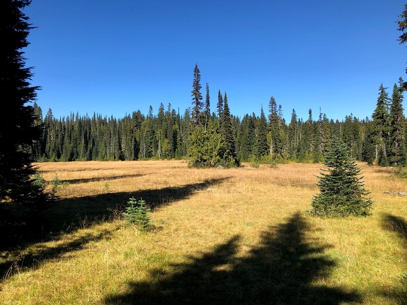 Meadows near Deer Lake