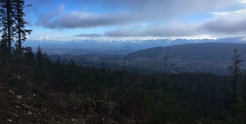 Mountain views through the clearcut on Tiger Mountain