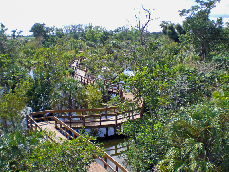 Daggerwing Nature Center - View from Tower