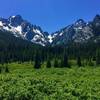 A meadow along the Stuart Lake Trail.