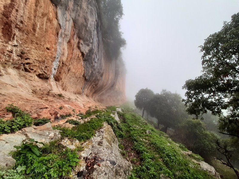 The cliff and the walkway.