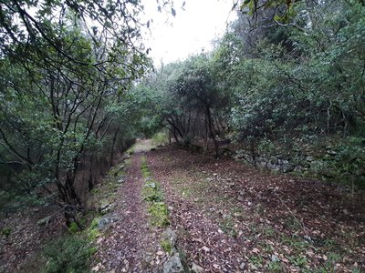 The walkway.