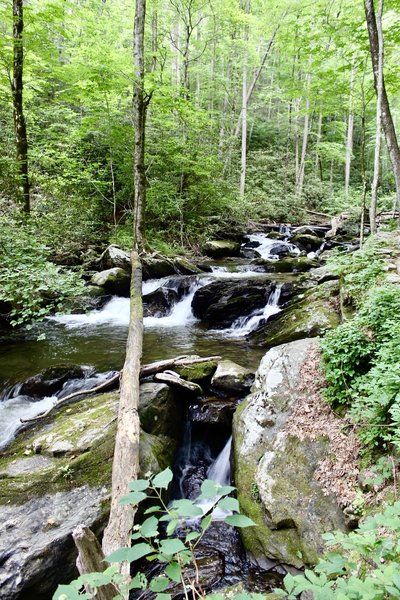 Smith Creek, downstream from Anna Ruby Falls, Georgia