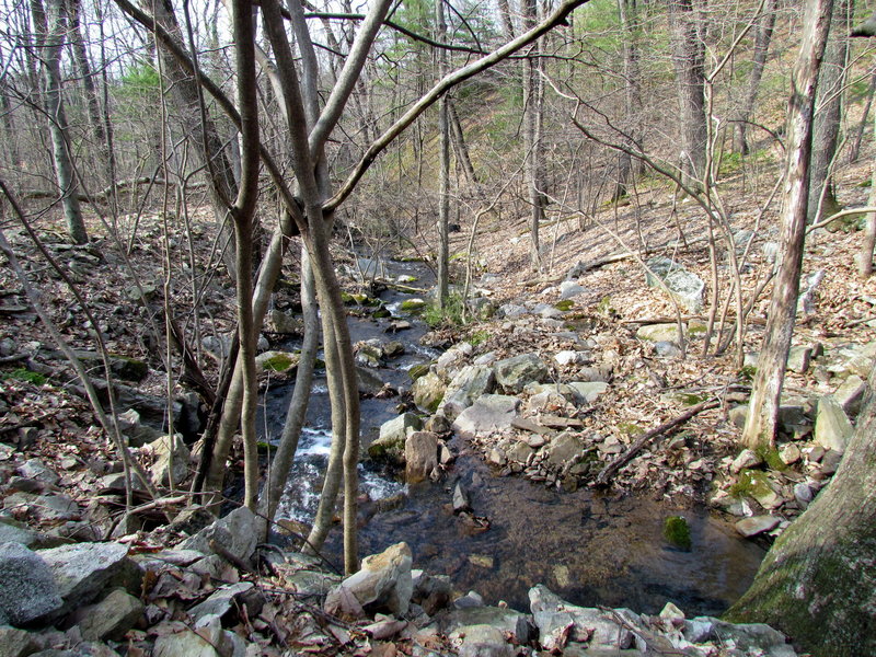 Creek Boyd Big Tree State Park Harrisburg PA 2328