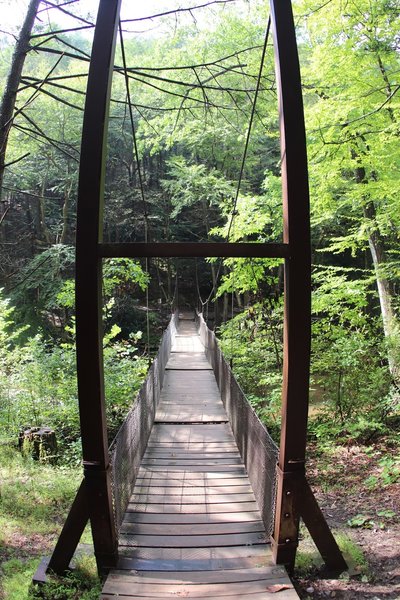 Crossing Great Trough Creek on Suspension Bridge