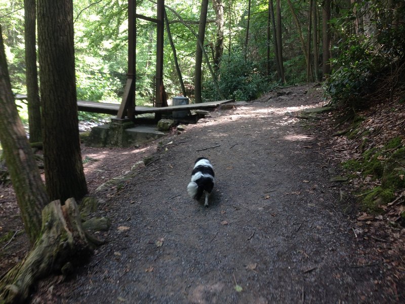 Balanced Rock Trail.