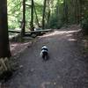 Balanced Rock Trail.