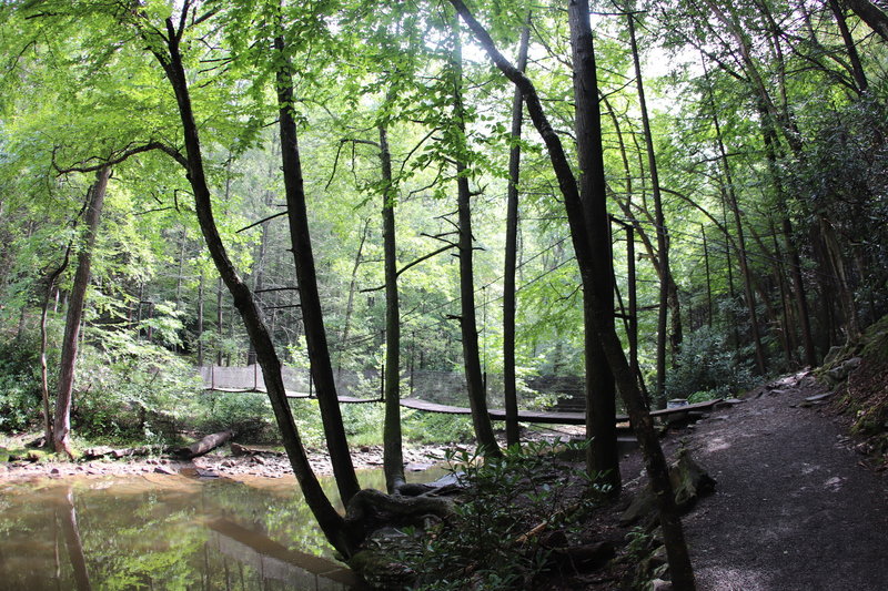 Great Trough Creek and Suspension Bridge