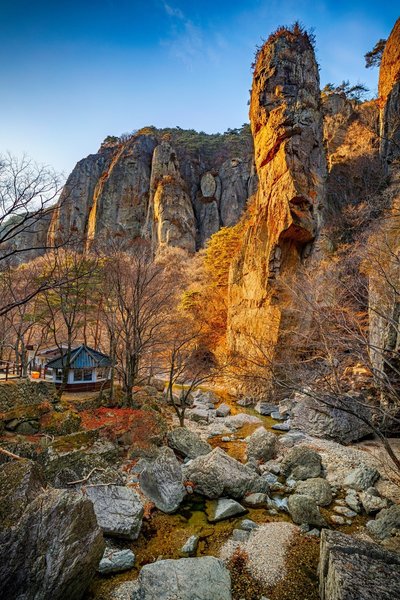 Forest library underneath valley cliffs