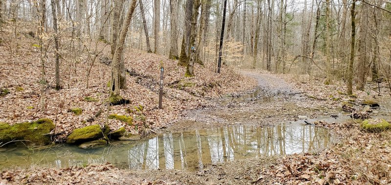 Creek crossing and trail split