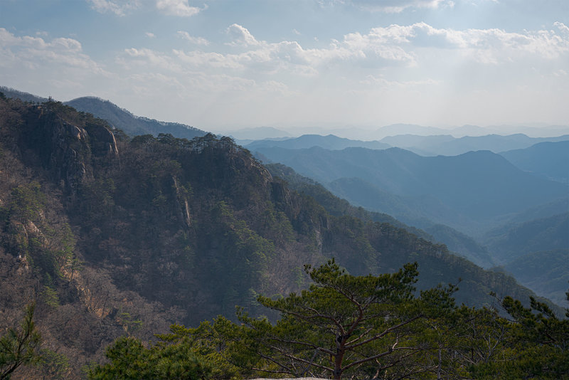 Typical views from the ridgeline