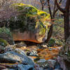 Large boulders all along the valleys.