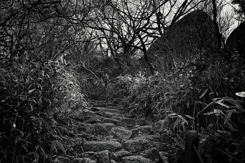 Typical stone-pathways everywhere in the park