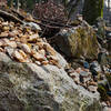 Lots of stacked rocks by the temple stream