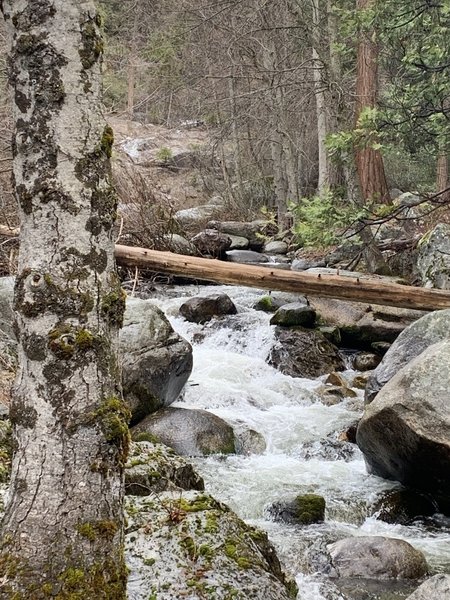 At the end. Great trail. Lots to see. River along the trail the whole time.