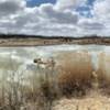 A pond at Oakes Quarry