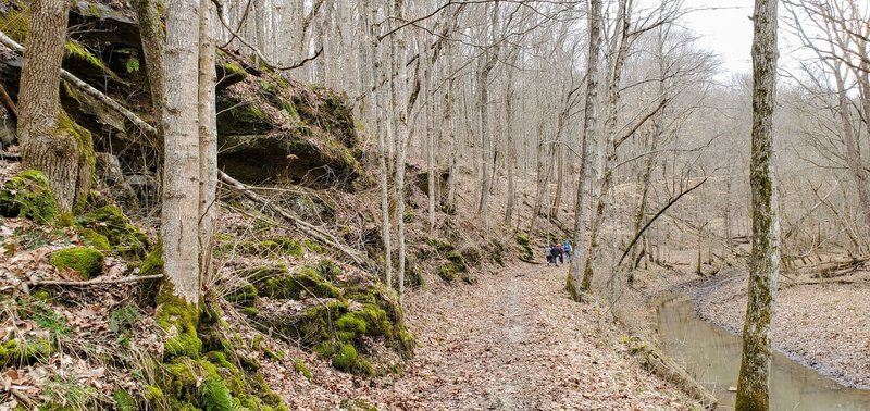 Trail high along the creek bank.