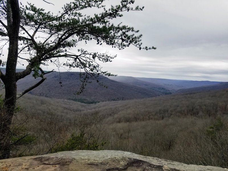 View from Martha's Pretty Point