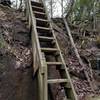 Ladder on the Martha's Pretty Point Trail