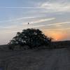 Sunrise at the start of the Ratnapur Trail.