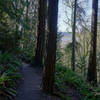 The South Ridge Trail with Lake Washington in the distance