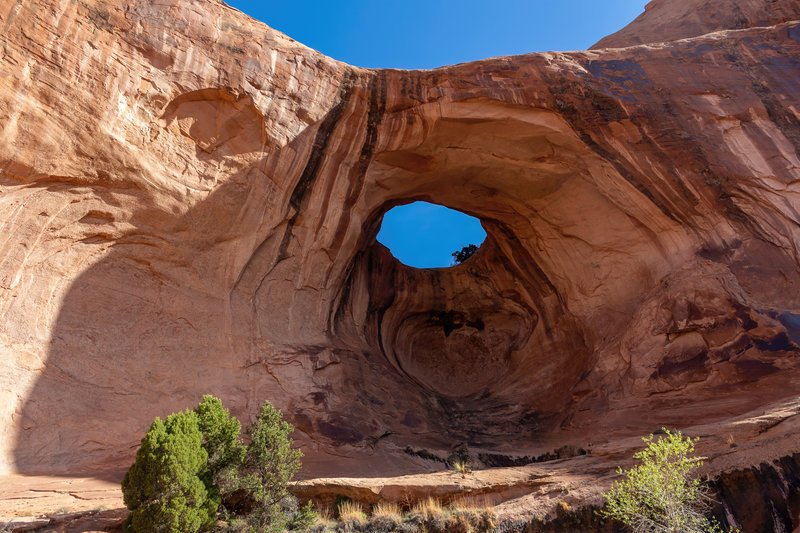 Bowtie Arch