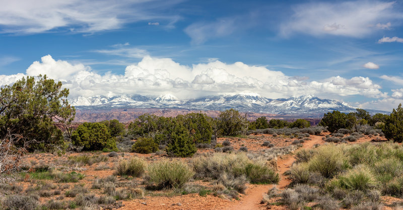 The snow covered La Sal Mountains rise on the horizon as you make your way to the east rim