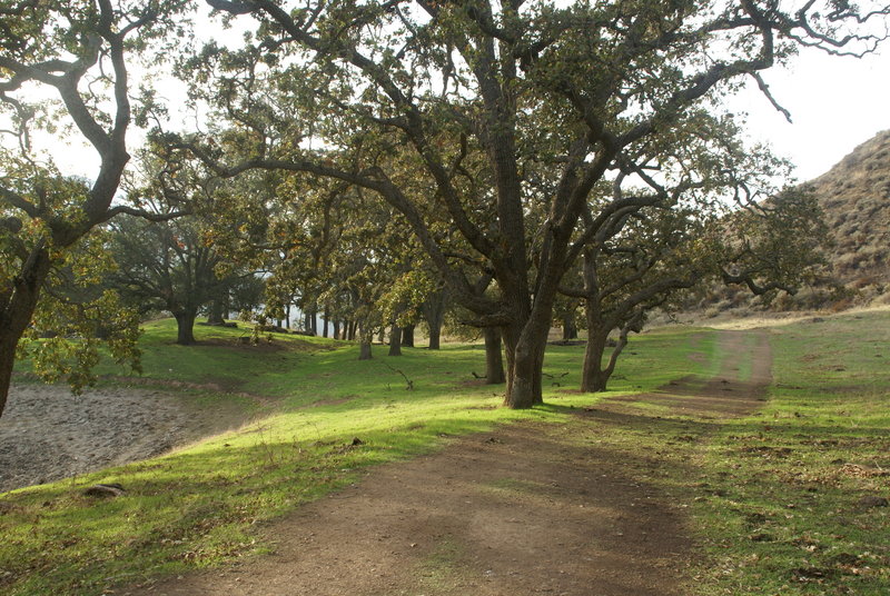 Sunol Regional Wilderness