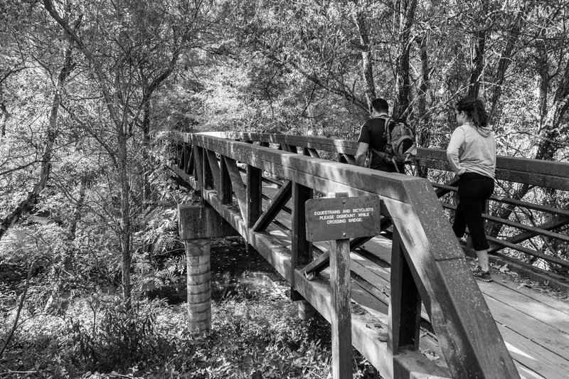 Crossing the Foot Bridge