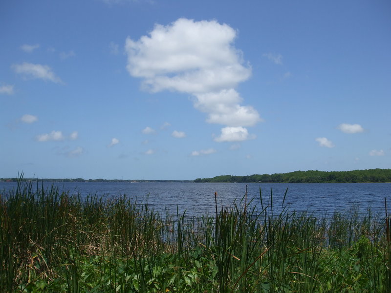 John Chesnut Senior Park