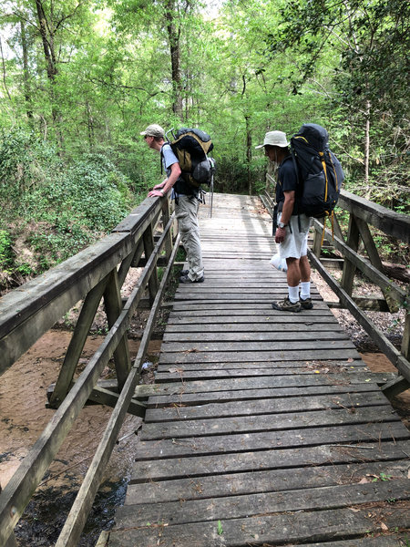 Wooden bridge