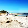 Honeymoon Island State Park, Florida