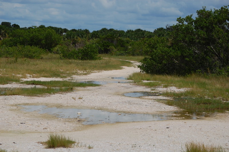 Honeymoon Island State Park