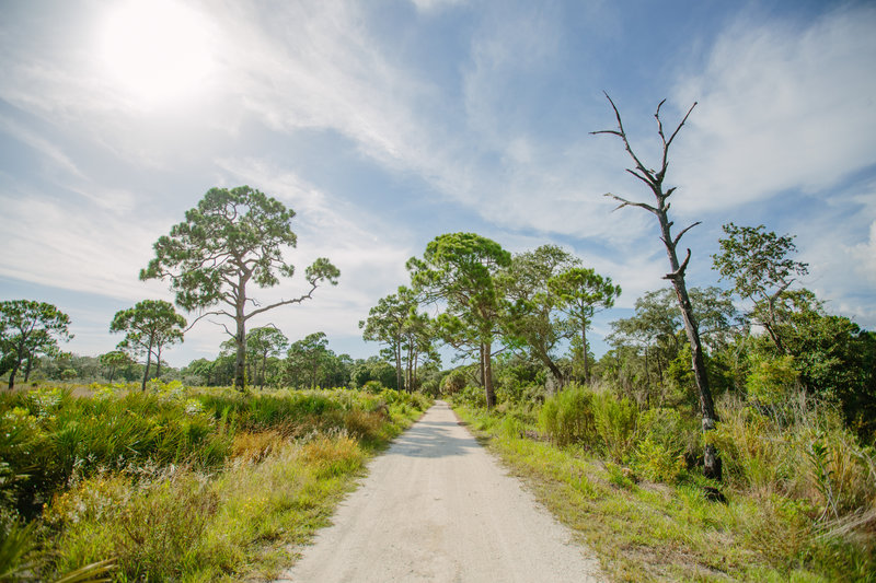 Boyd Hill Nature Preserve