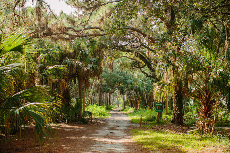 Boyd Hill Nature Preserve