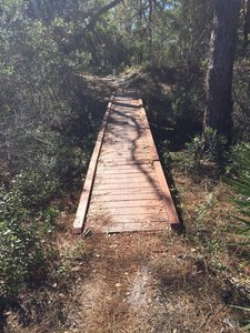 Small bridges aid your passage over certain spots along the BoldlyGo Trail.