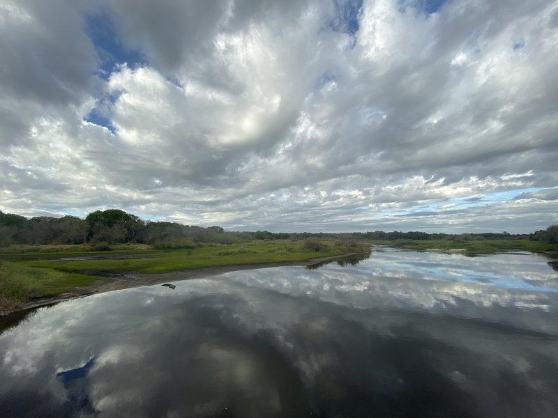 Myakka River State Park, Sarasota, Florida