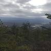 View to east towards Jump Rock from opening along Mill Mtn Trail