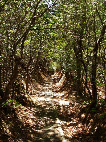 Tunnel