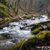 A look up Kimsey Creek on a late winter afternoon